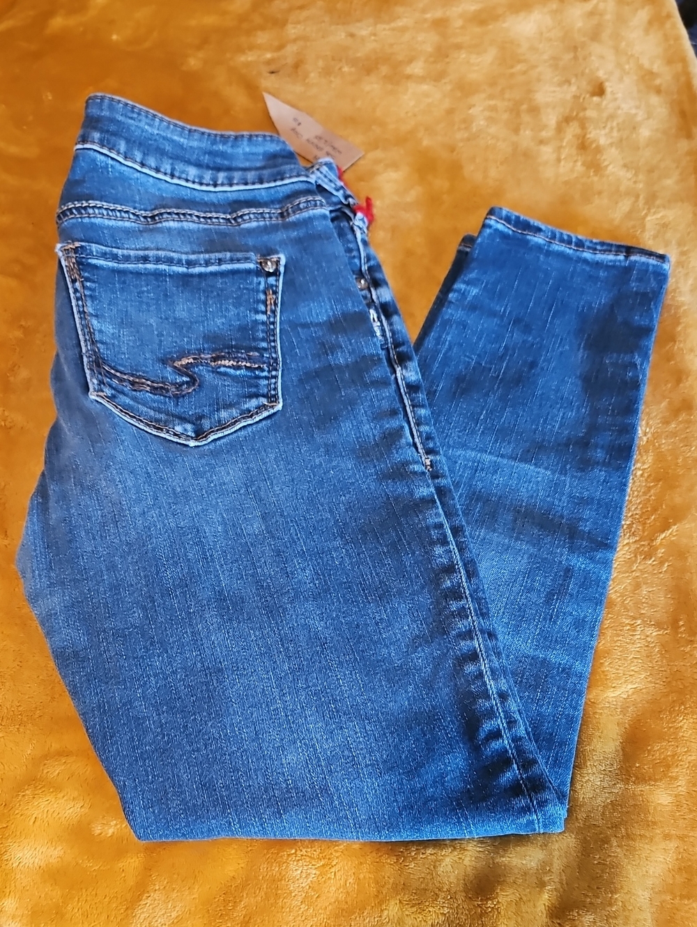 Suki Silver Skinny Crop Jeans